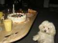 Emmely_1.Geburtstag_03