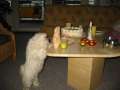 Emmely_1.Geburtstag_04
