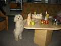 Emmely_1.Geburtstag_05