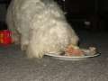 Emmely_1.Geburtstag_08